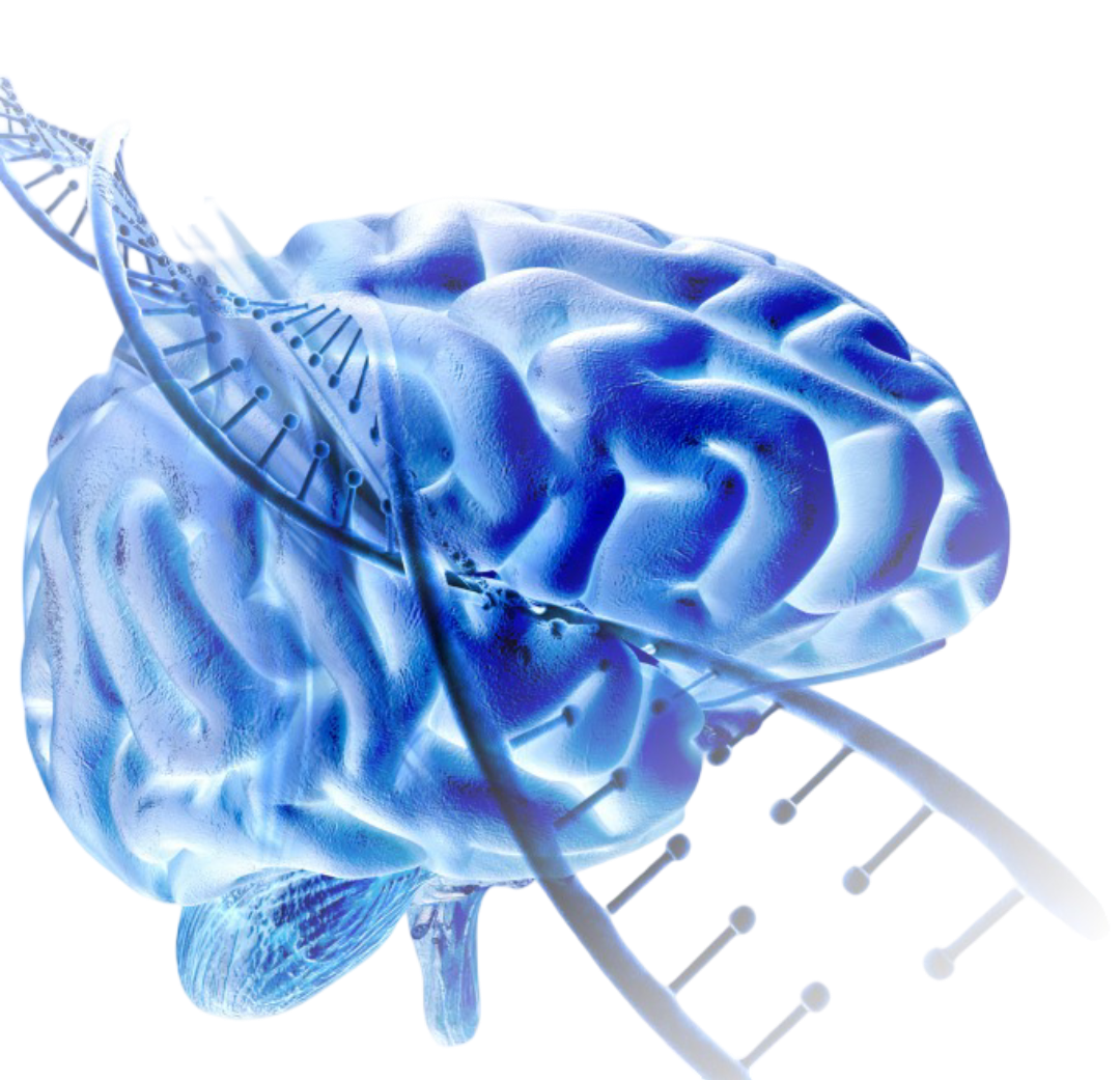 Comment notre méthode de neurofeedback agit pour vous aider à surmonter la dépression